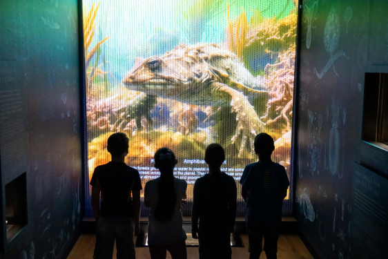 Children take in our interactive exhibition at the World Beneath the Waves gallery.