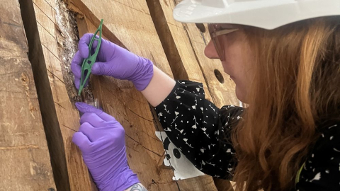 A conservator inspects the wooden hull of HMS Victory with a pair of tweezers. 