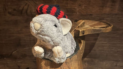 Plush toy rat wearing a knitted red and black striped hat, part of the 'Rats in Hats' event