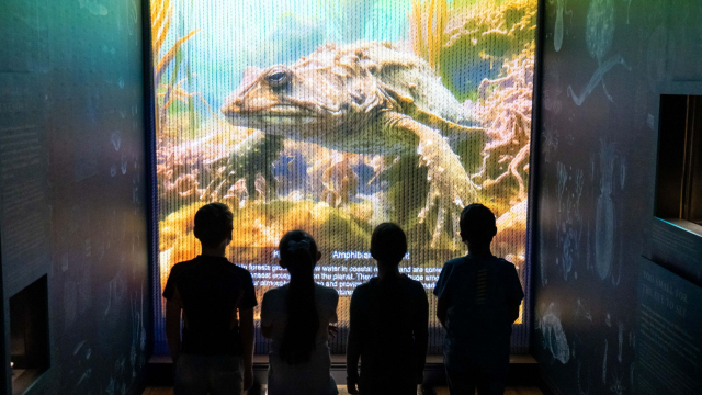 Children take in our interactive exhibition at the World Beneath the Waves gallery.