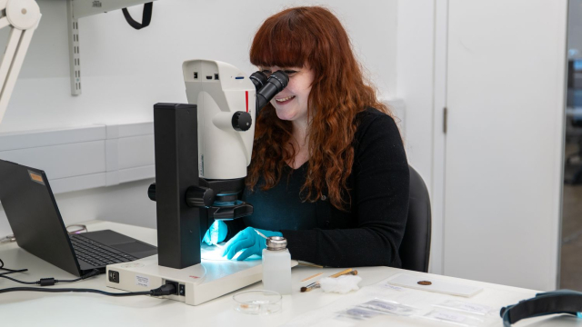 conservator looking at coins through a microscope