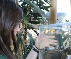 Cat Dixon holding up a terrarium for Deathwatch Beetles. 