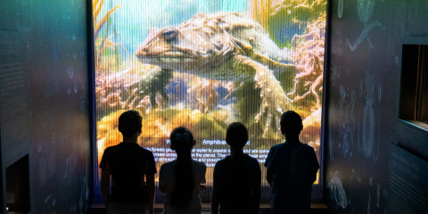 Children take in our interactive exhibition at the World Beneath the Waves gallery.